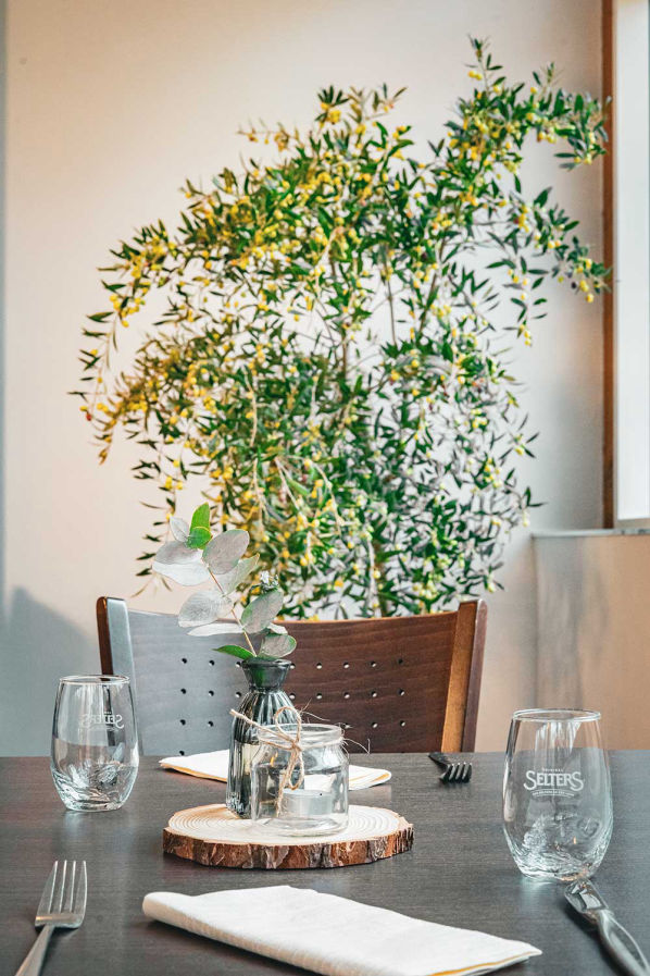 Volksgarten Mengede - Estia